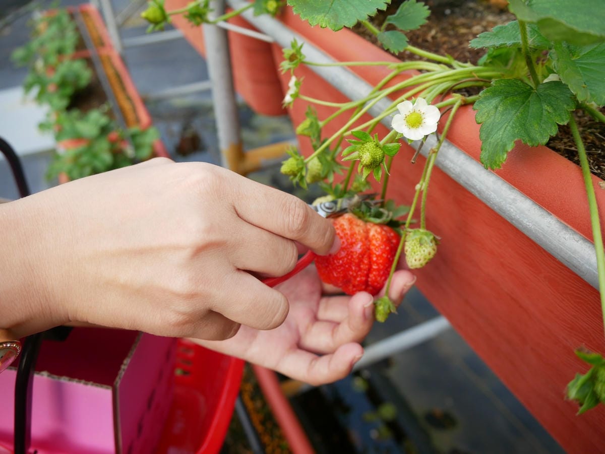 P1470721_副本.jpg P1470721_副本.jpg