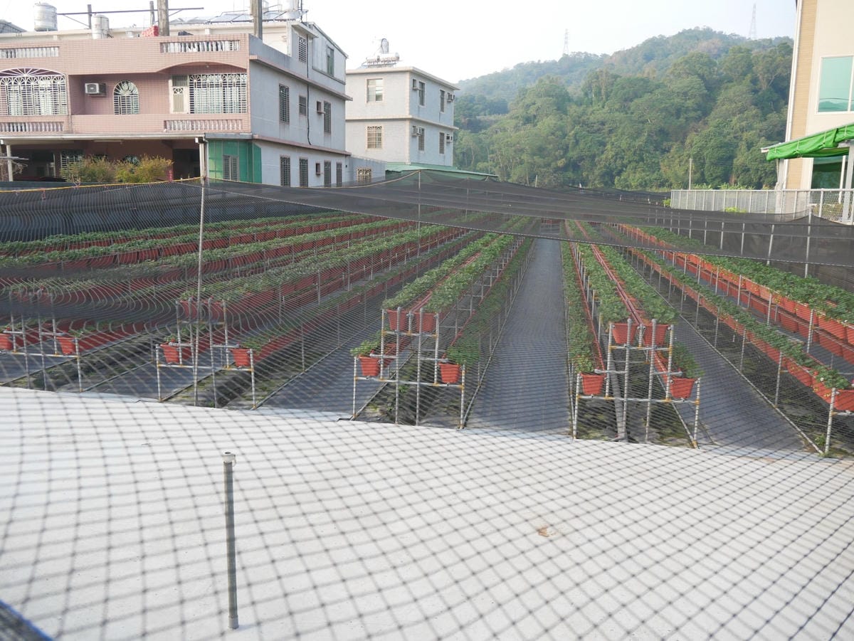 P1470751_副本.jpg P1470751_副本.jpg