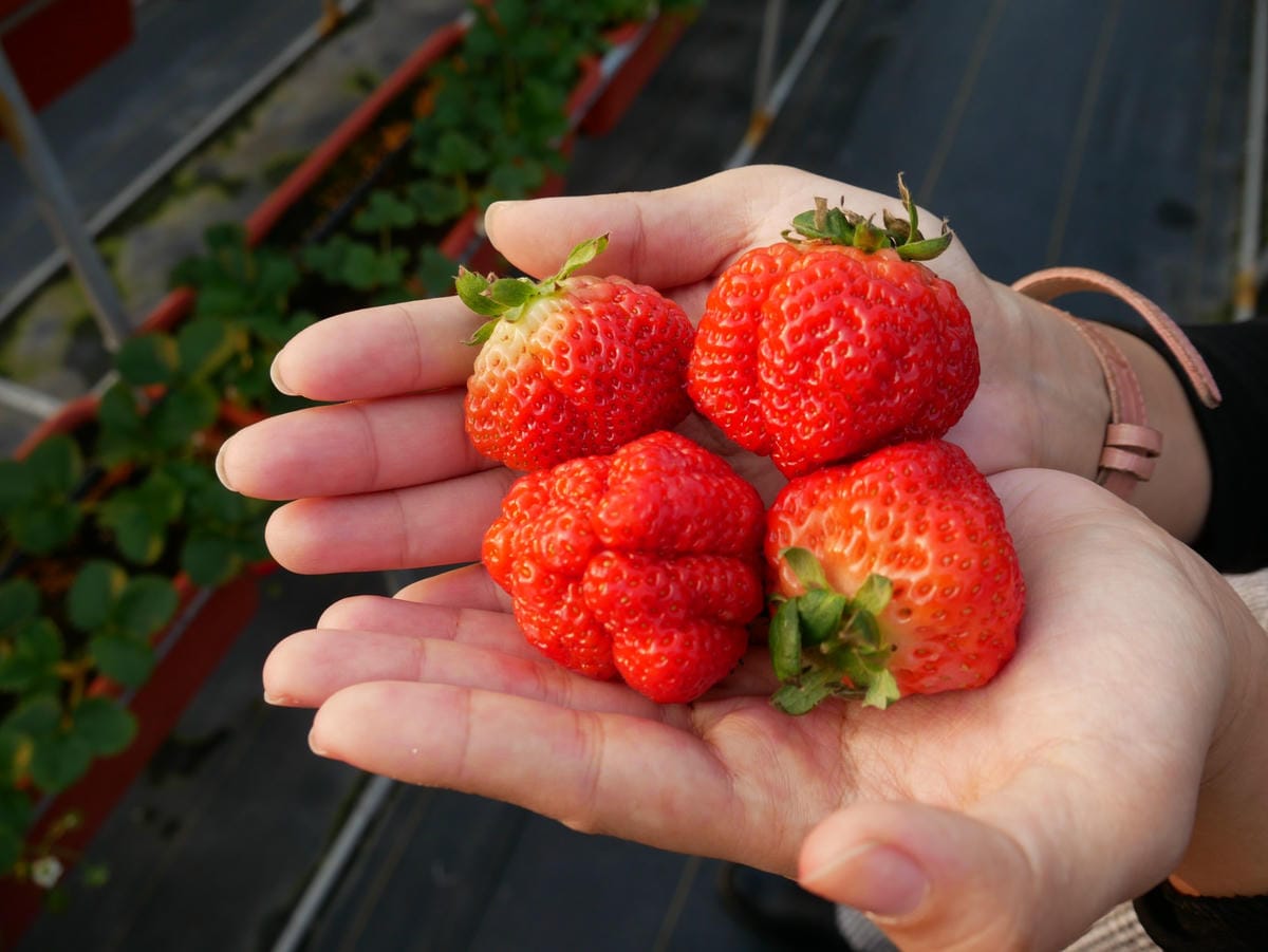 P1470750_副本.jpg P1470750_副本.jpg