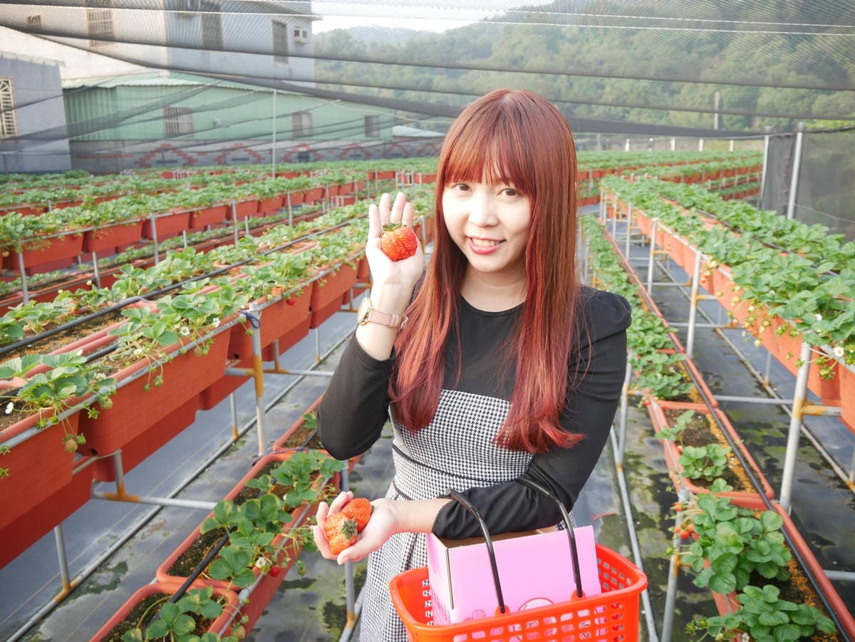 P1470720_副本.jpg P1470720_副本.jpg