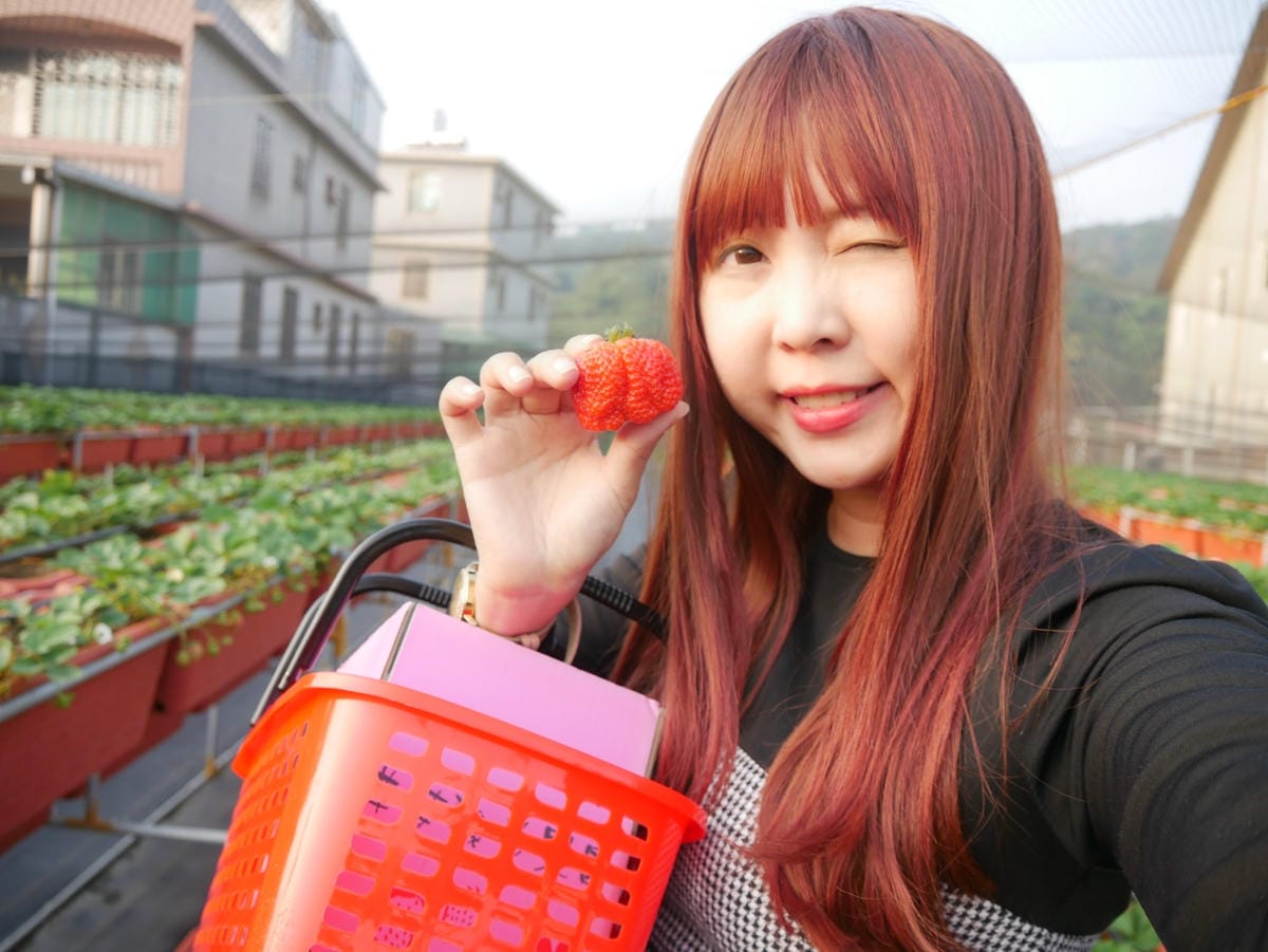 P1470748_副本.jpg P1470748_副本.jpg