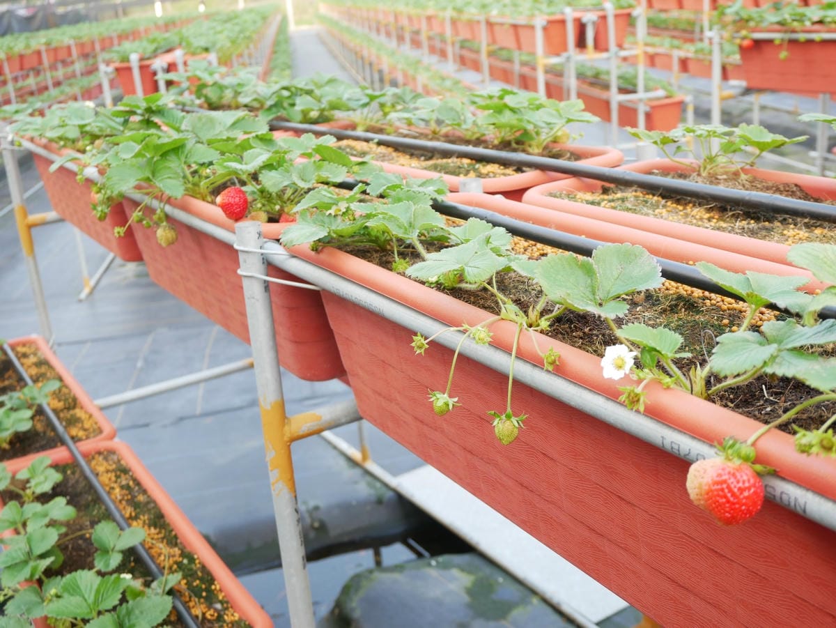 P1470740_副本.jpg P1470740_副本.jpg