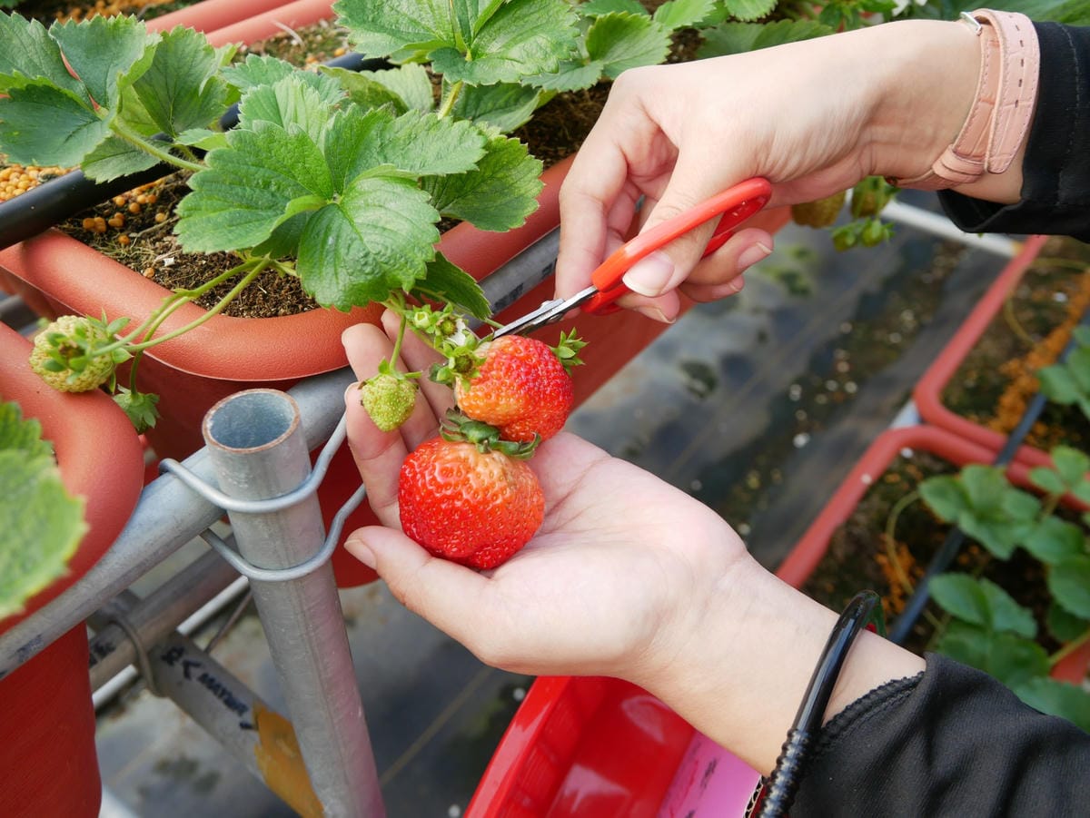 P1470724_副本.jpg P1470724_副本.jpg