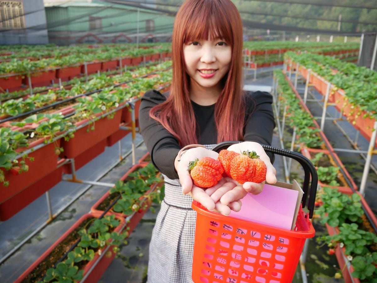 P1470719_副本.jpg P1470719_副本.jpg