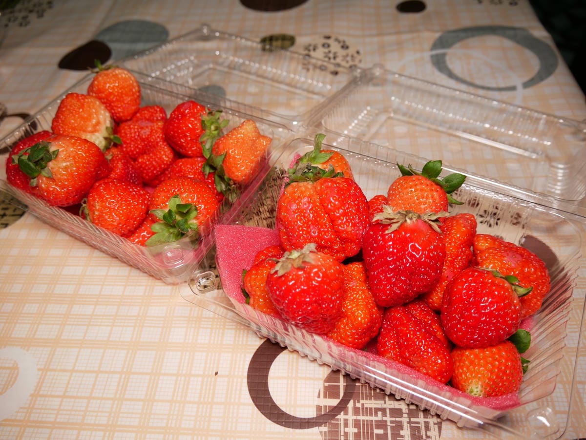 P1470756_副本.jpg P1470756_副本.jpg