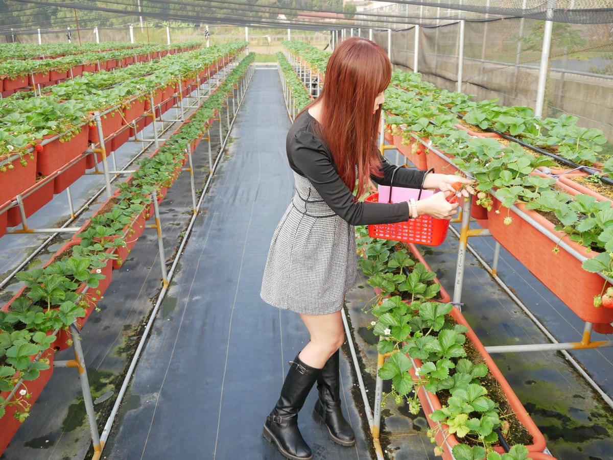 P1470723_副本.jpg P1470723_副本.jpg