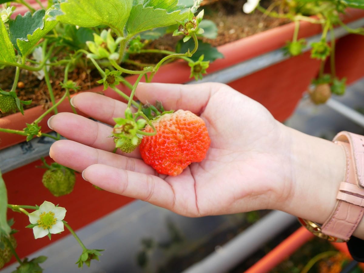 P1470718_副本.jpg P1470718_副本.jpg