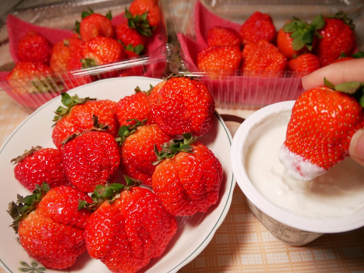 P1470758_副本.jpg P1470758_副本.jpg