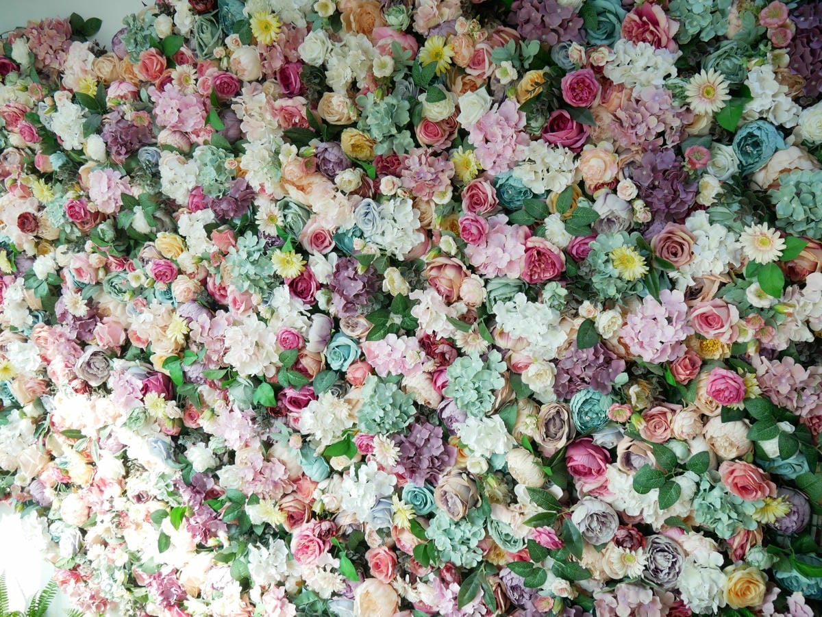 P1290389_副本.jpg P1290389_副本.jpg