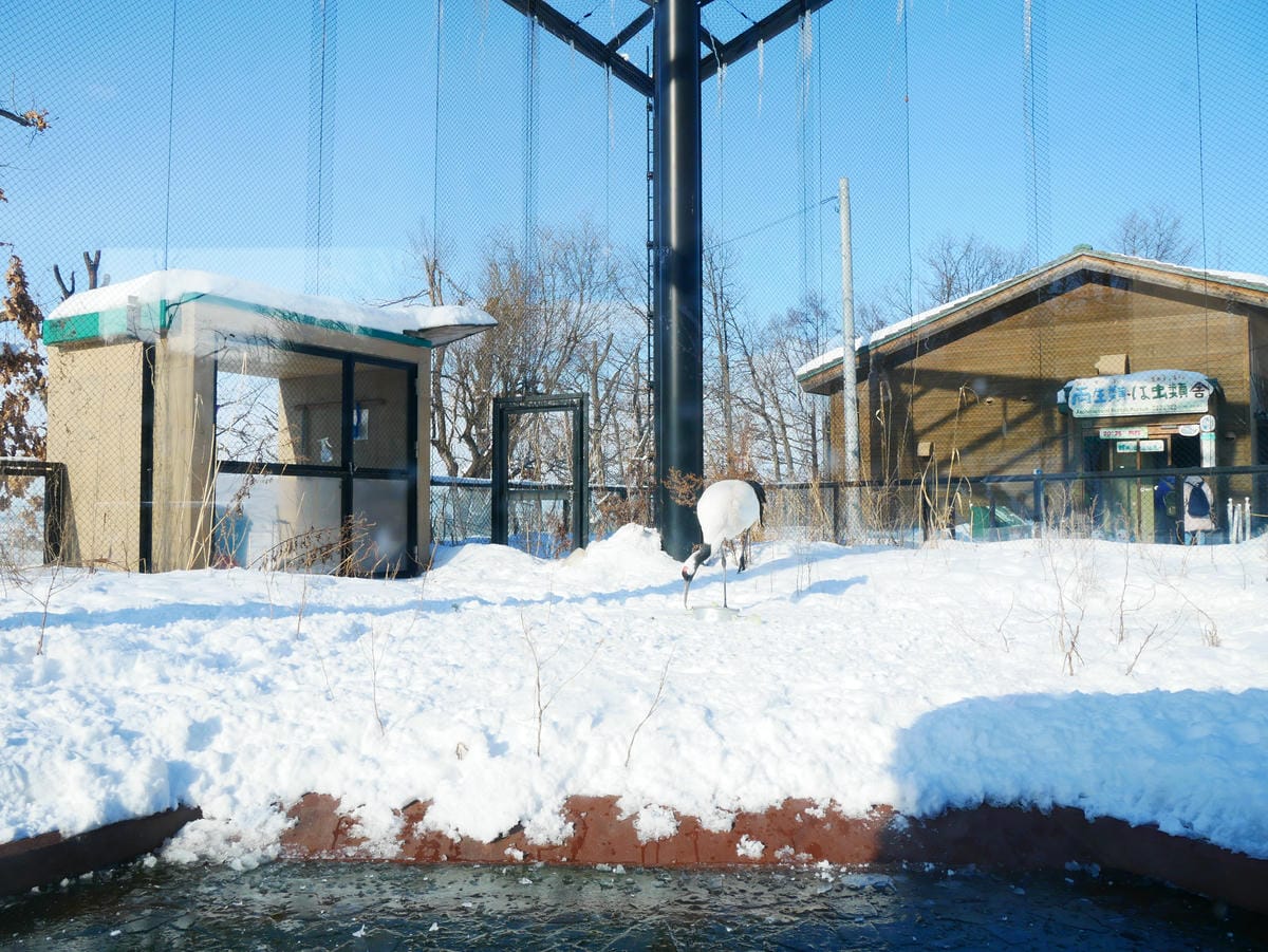 P1510533.JPG P1510533.JPG