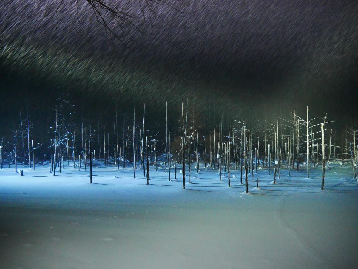 P1510818.JPG P1510818.JPG