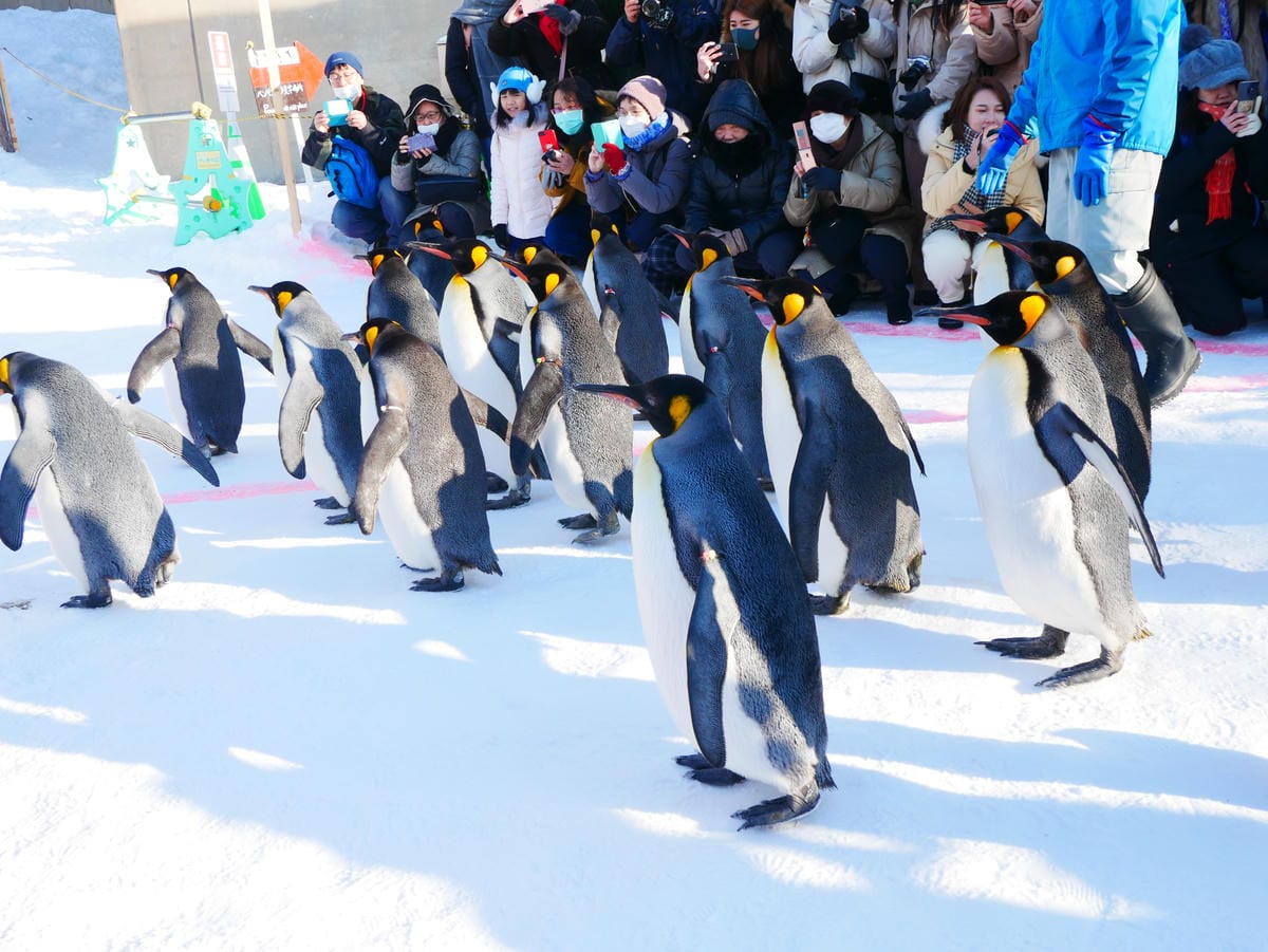 P1510557.JPG P1510557.JPG