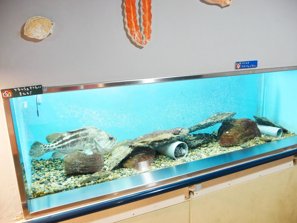 P1510623.JPG P1510623.JPG