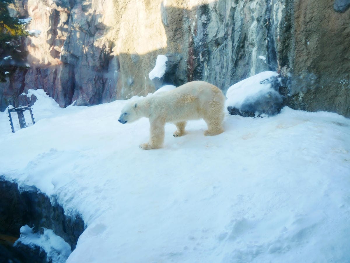 P1510633.JPG P1510633.JPG