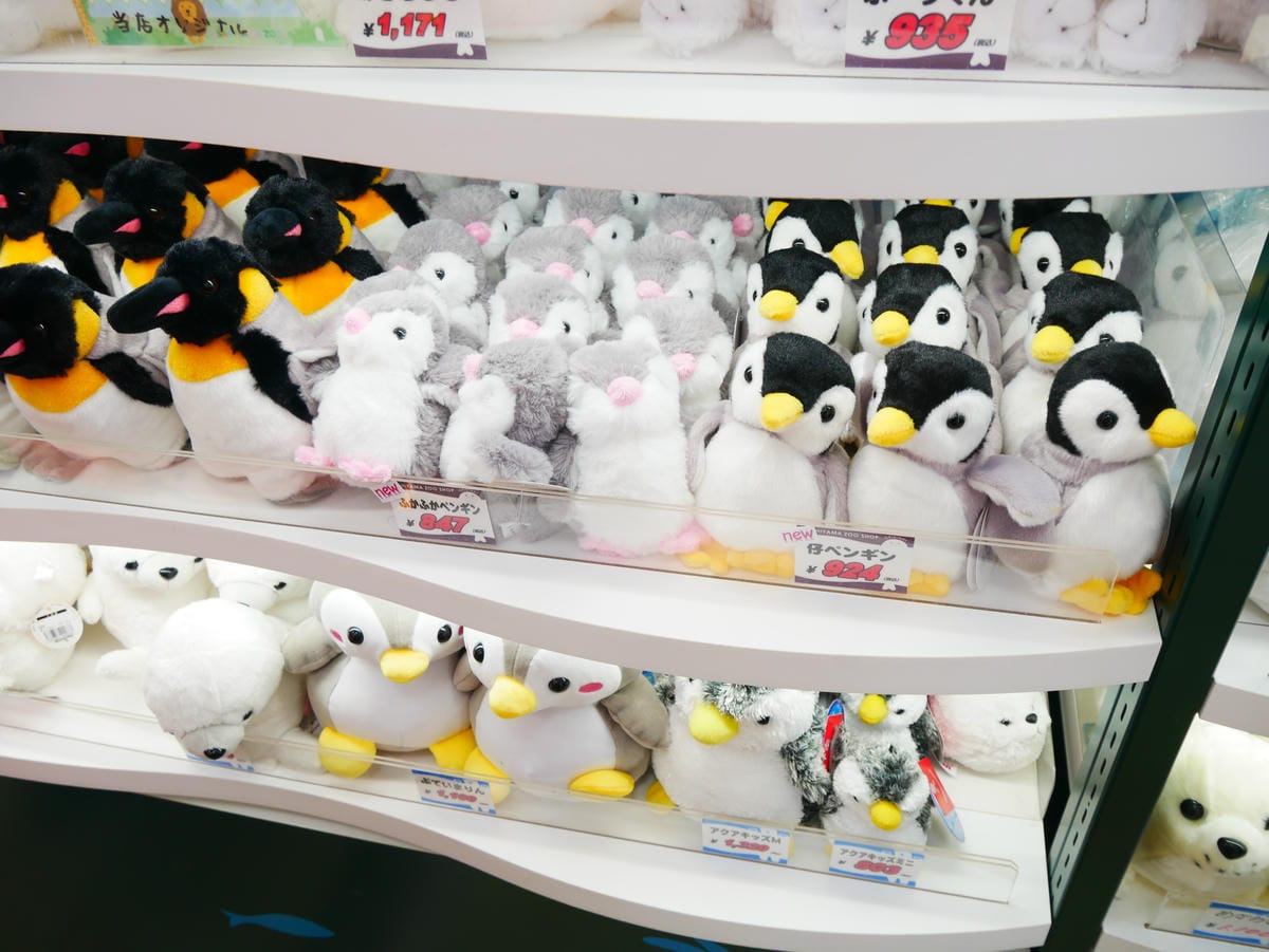 P1510582.JPG P1510582.JPG