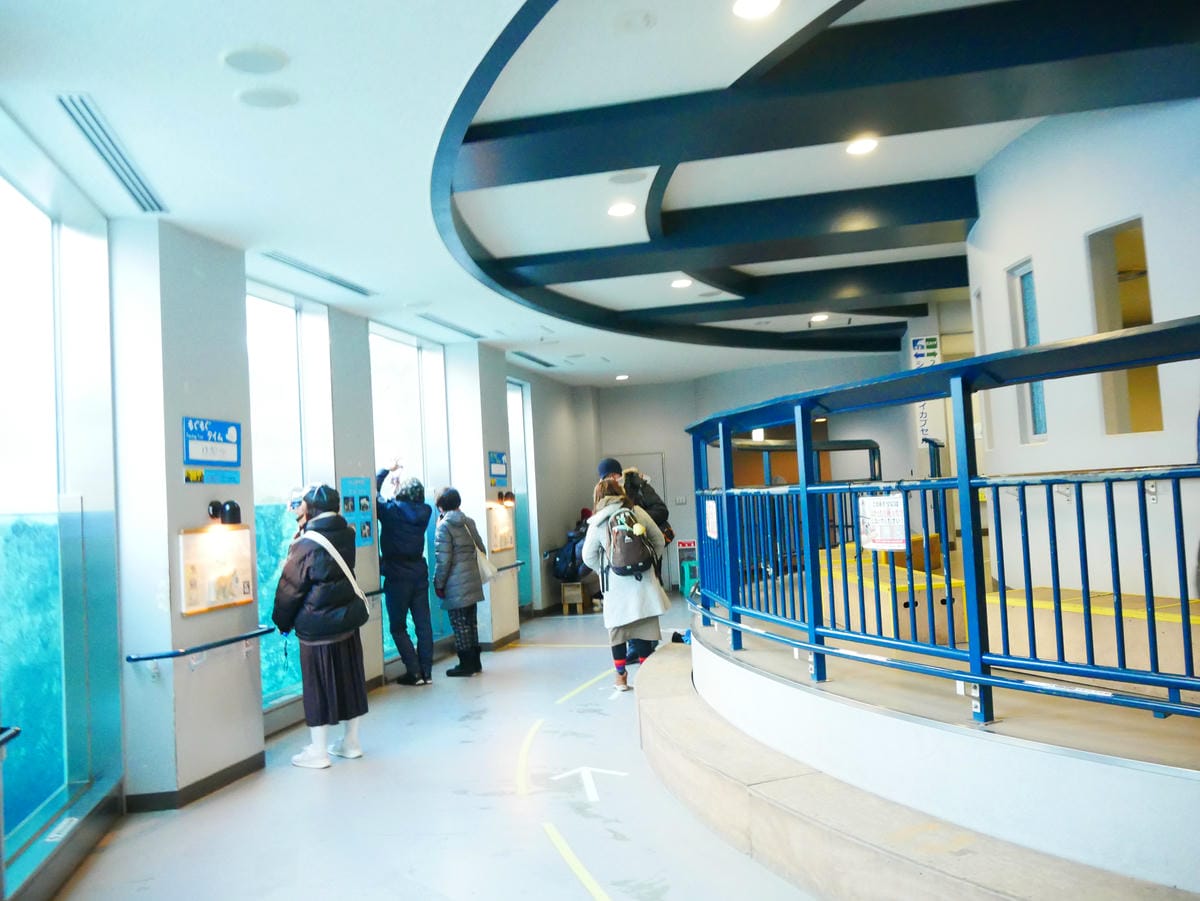 P1510615.JPG P1510615.JPG