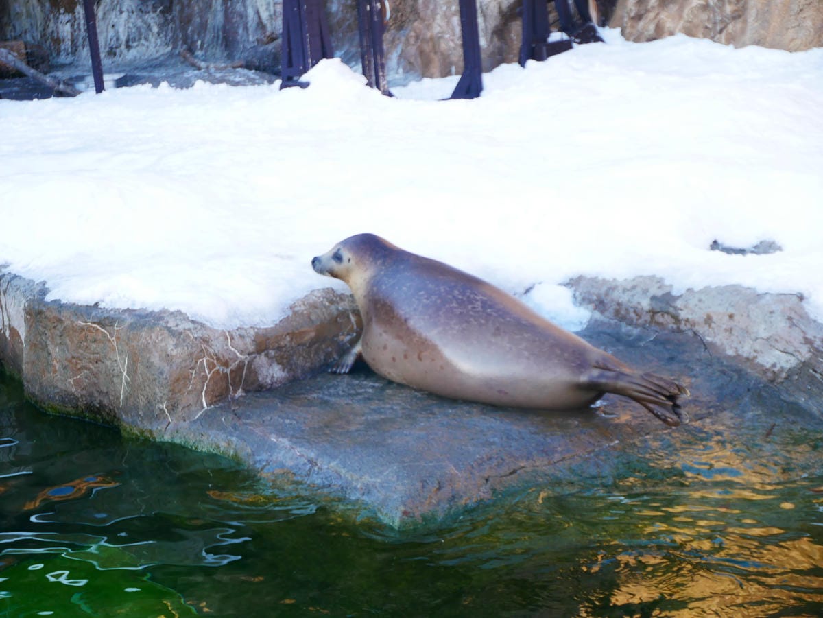 P1510606.JPG P1510606.JPG