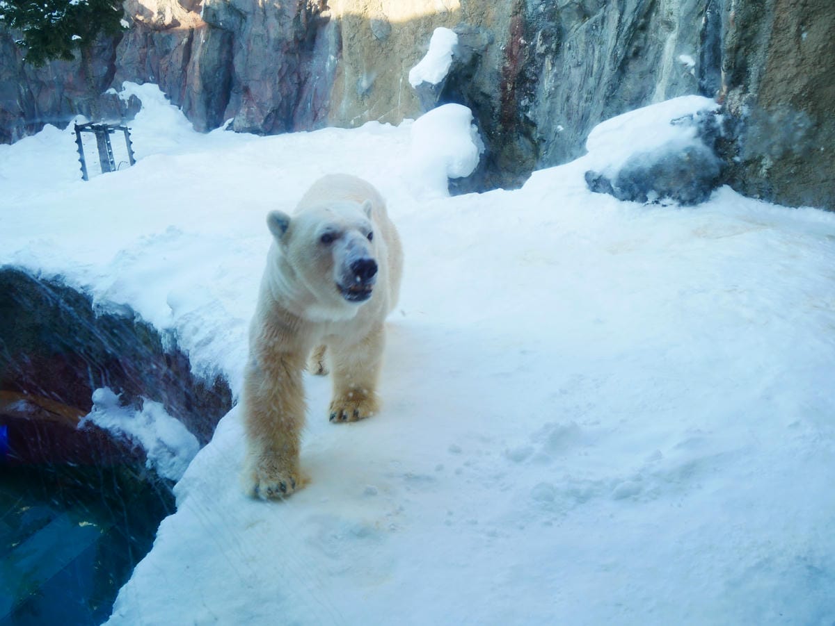 P1510632.JPG P1510632.JPG