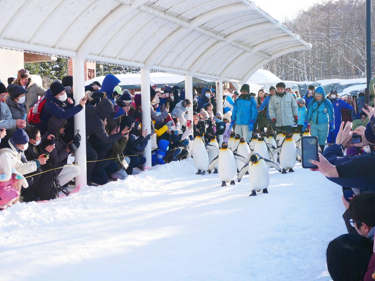 P1510555.JPG P1510555.JPG