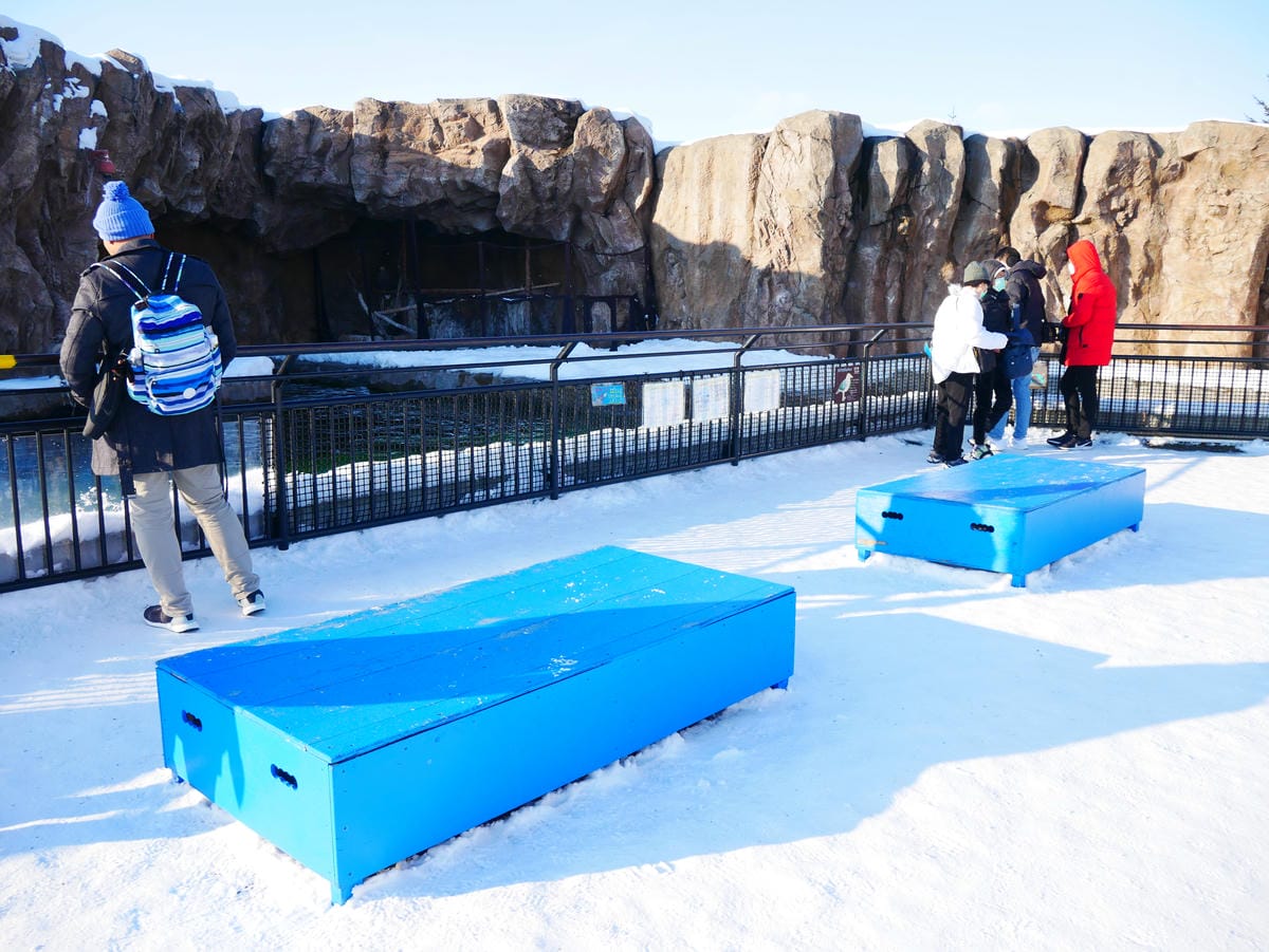 P1510607.JPG P1510607.JPG