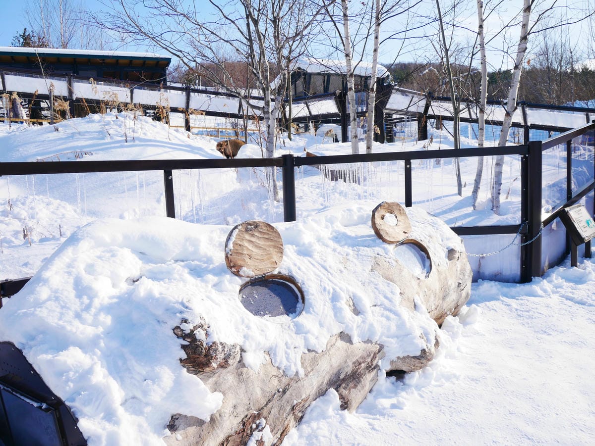 P1510507.JPG P1510507.JPG