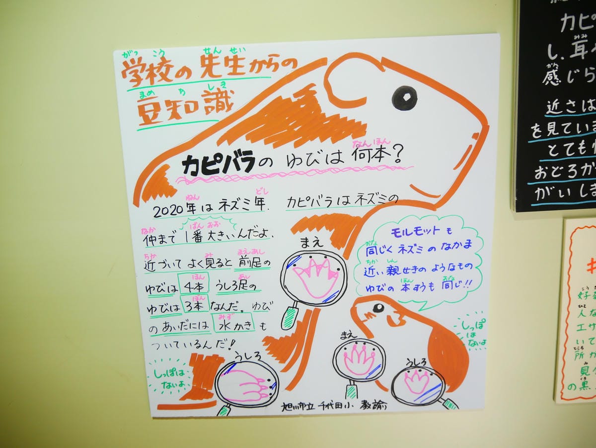 P1510520.JPG P1510520.JPG