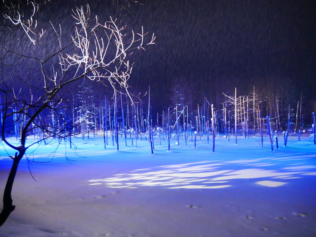 P1510786.JPG P1510786.JPG