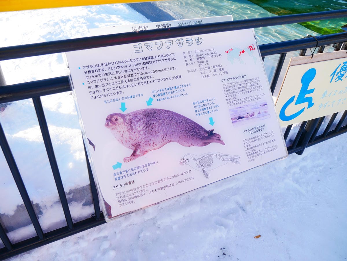 P1510608.JPG P1510608.JPG