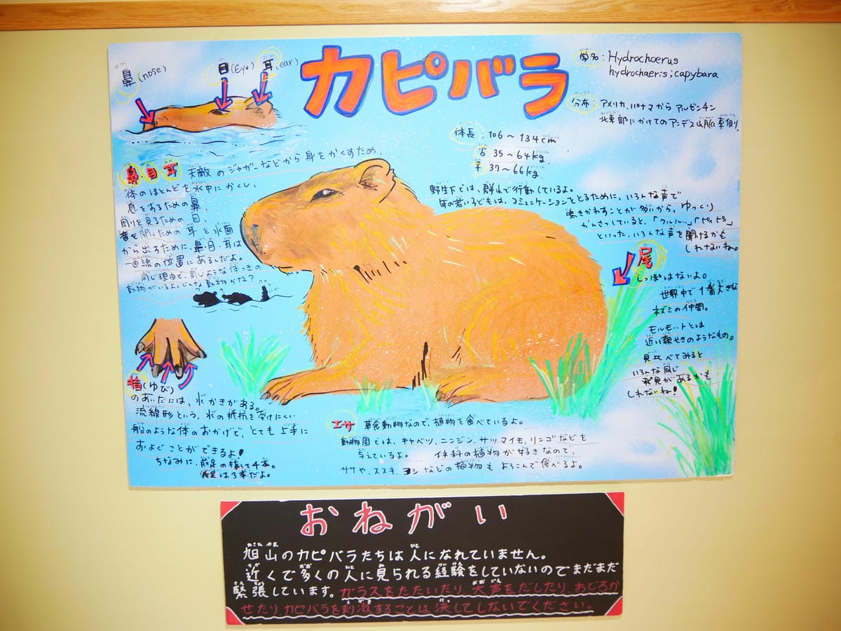 P1510521.JPG P1510521.JPG