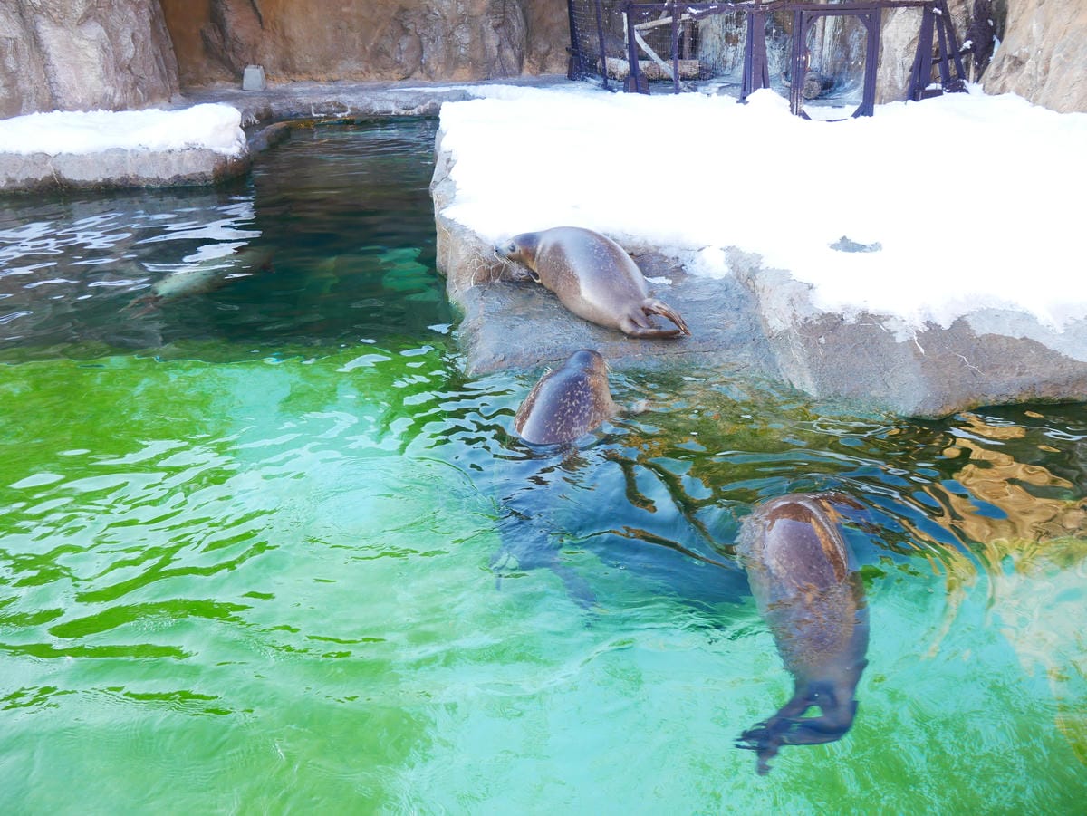 P1510602.JPG P1510602.JPG