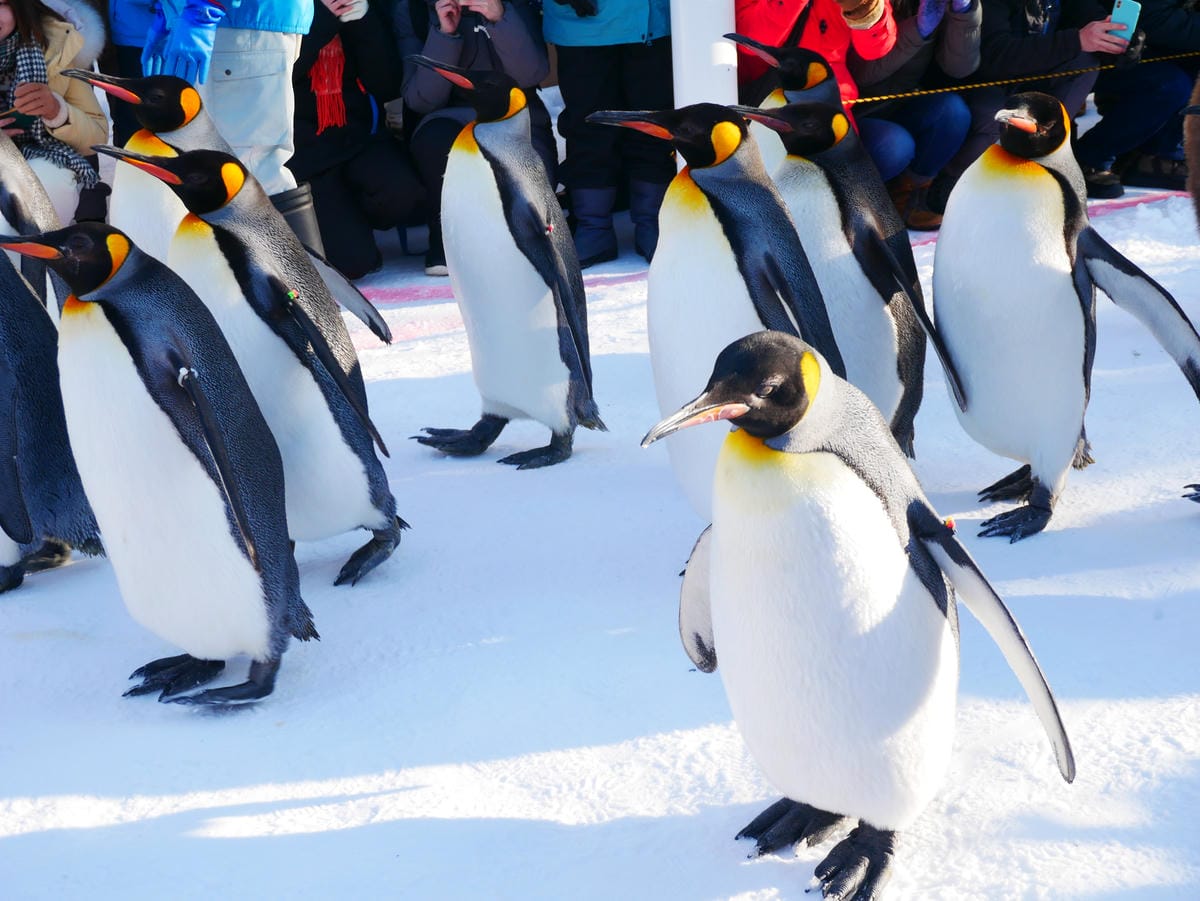 P1510556.JPG P1510556.JPG