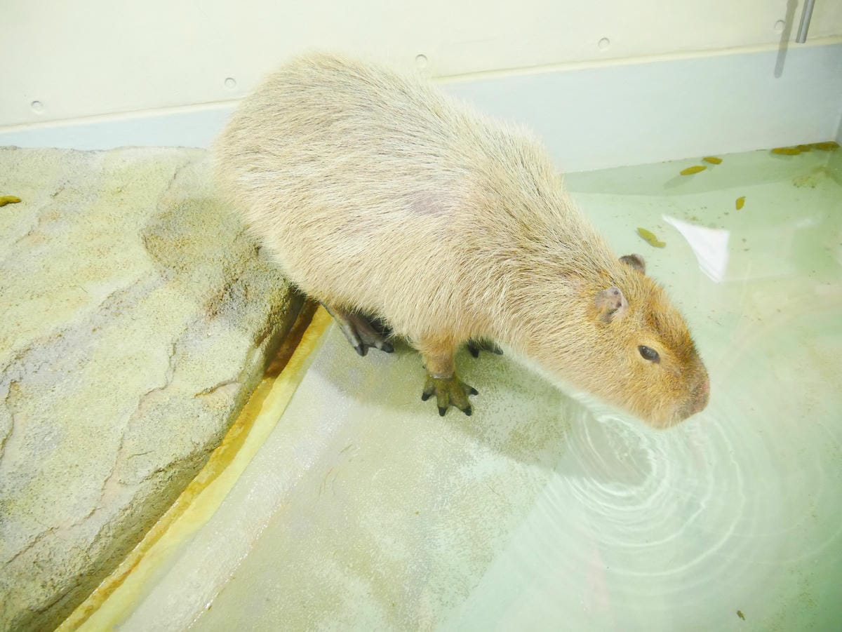 P1510519.JPG P1510519.JPG