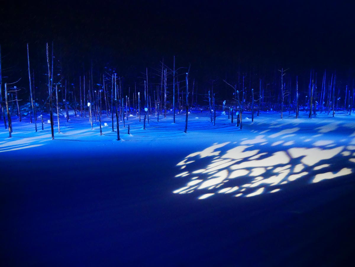 P1510810.JPG P1510810.JPG