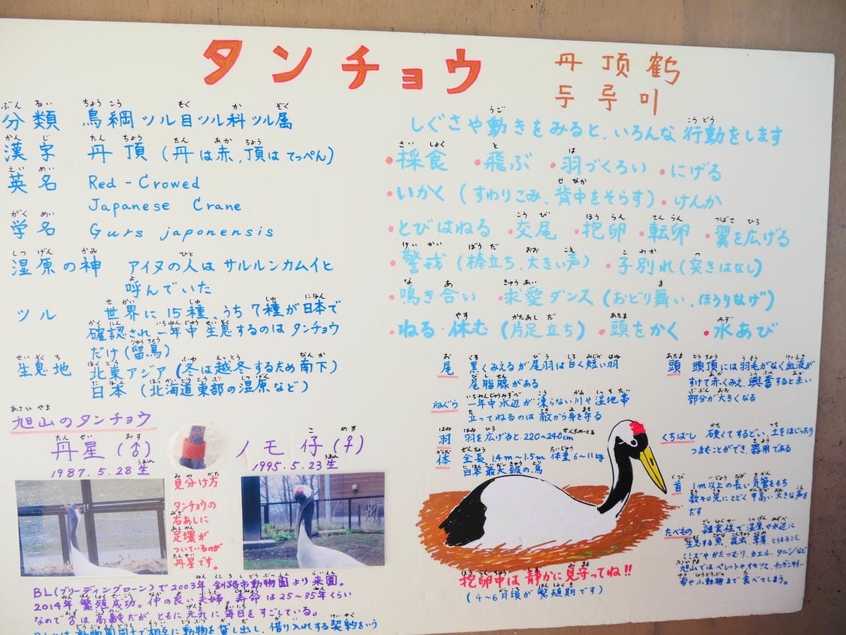 P1510531.JPG P1510531.JPG