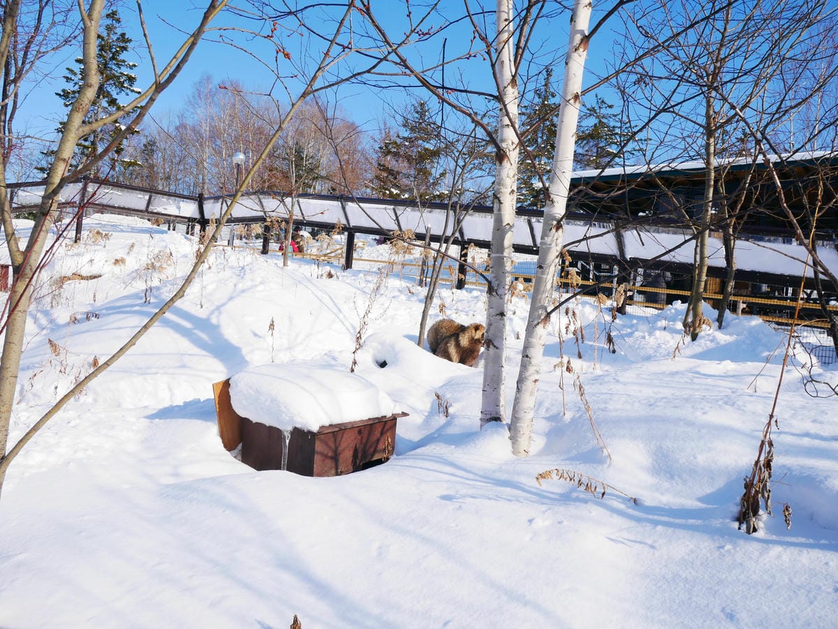 P1510502.JPG P1510502.JPG