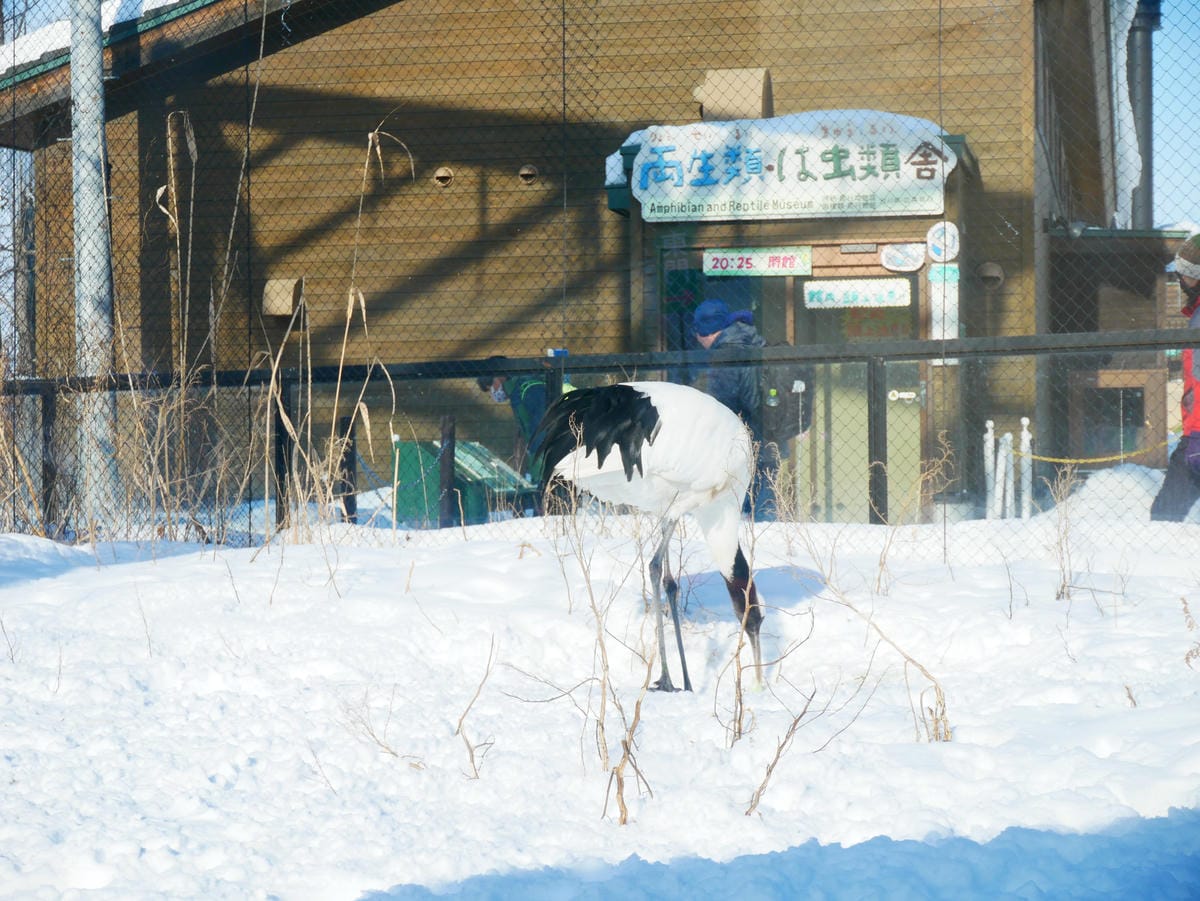 P1510534.JPG P1510534.JPG