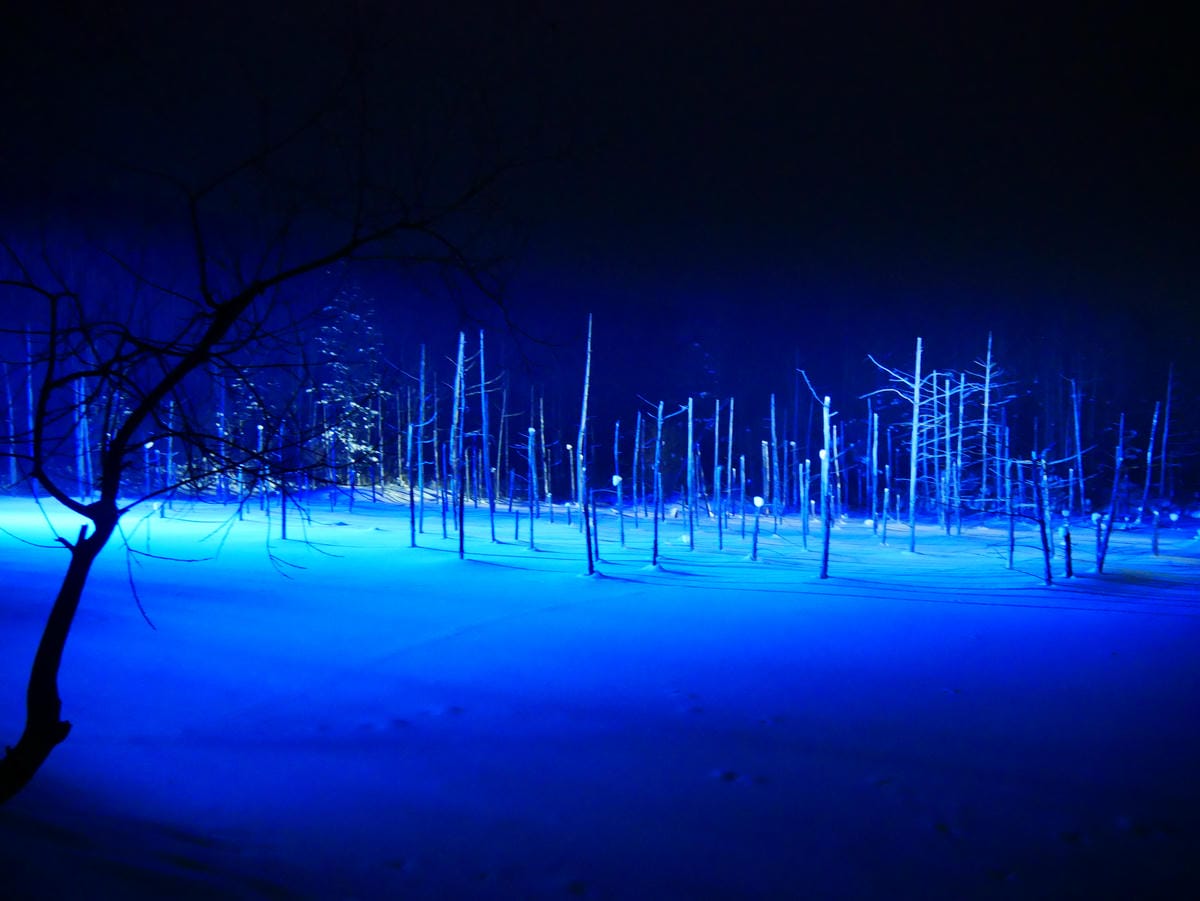 P1510788.JPG P1510788.JPG