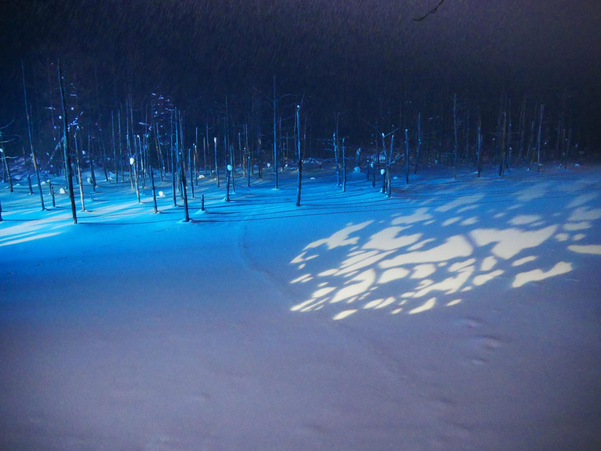 P1510836.JPG P1510836.JPG