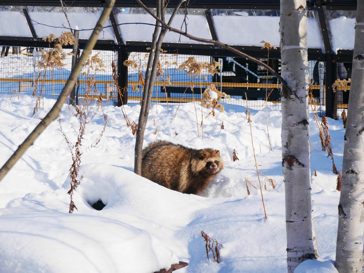 P1510503.JPG P1510503.JPG