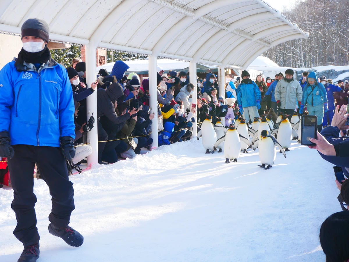 P1510554.JPG P1510554.JPG