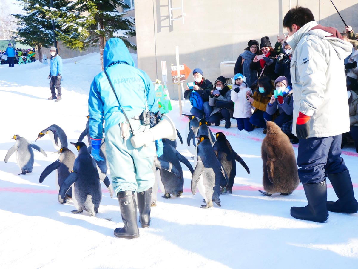 P1510558.JPG P1510558.JPG