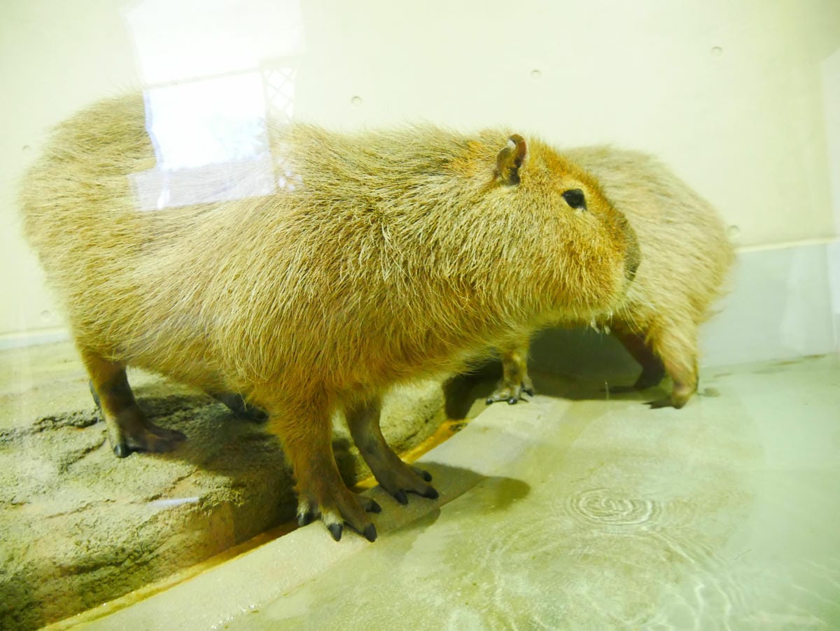 P1510516.JPG P1510516.JPG