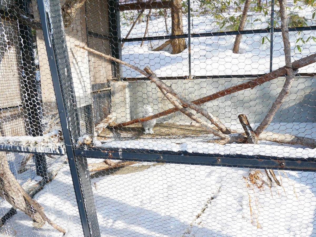 P1510484.JPG P1510484.JPG