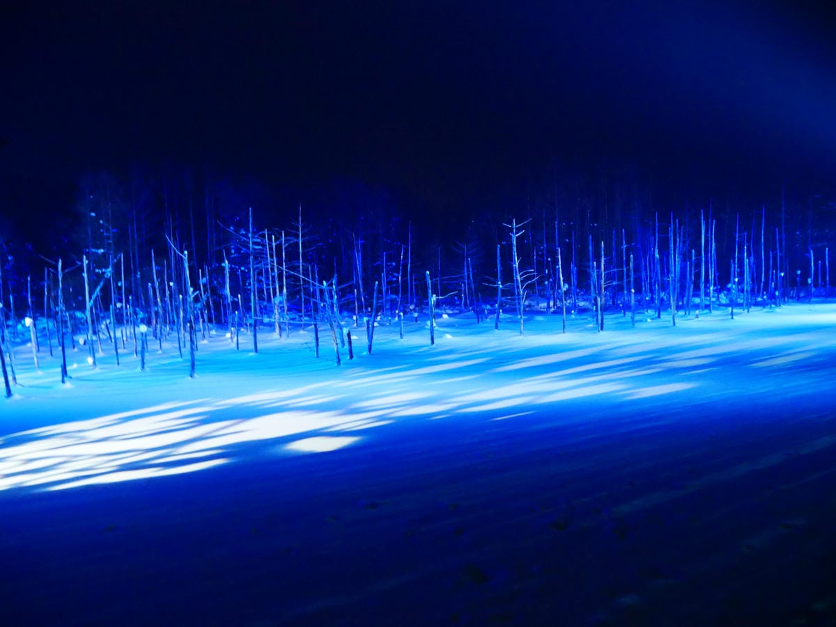 P1510771.JPG P1510771.JPG