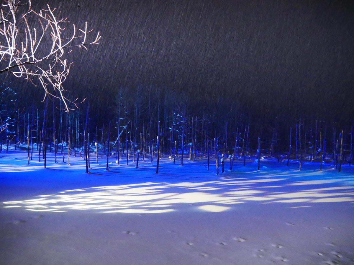 P1510795.JPG P1510795.JPG