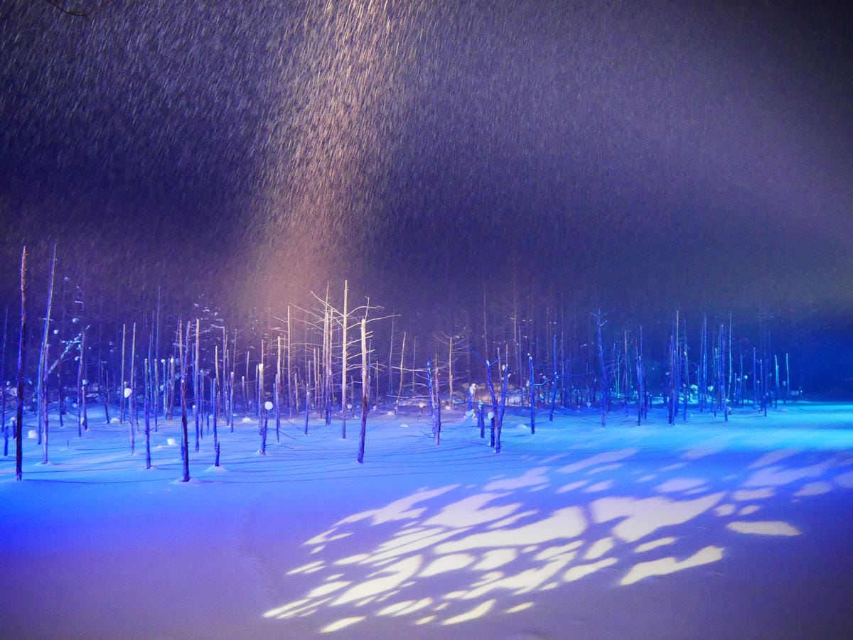 P1510828.JPG P1510828.JPG