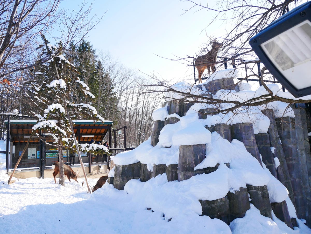 P1510541.JPG P1510541.JPG