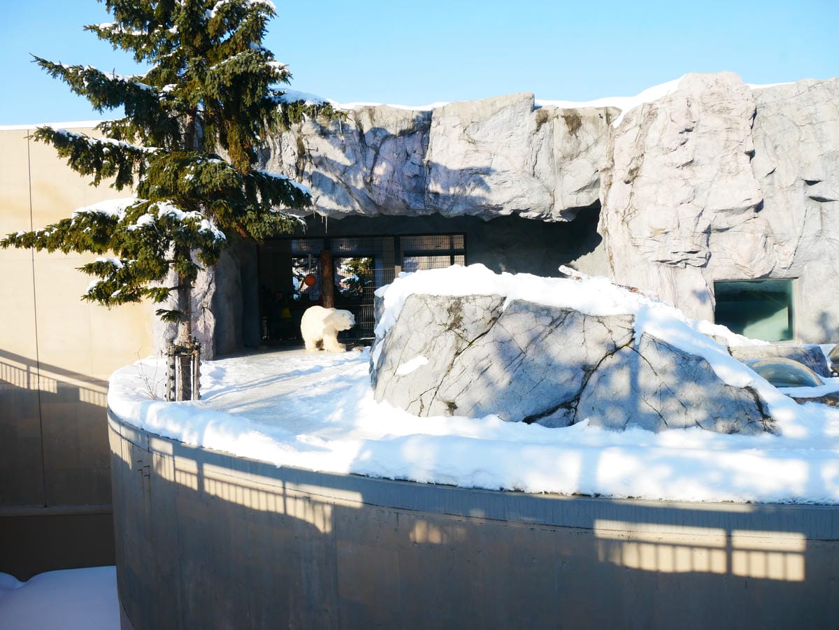 P1510642.JPG P1510642.JPG