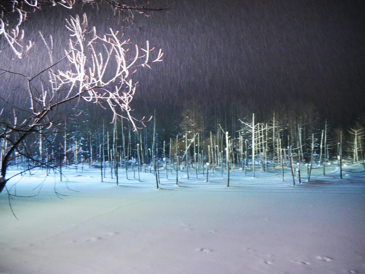 P1510774.JPG P1510774.JPG