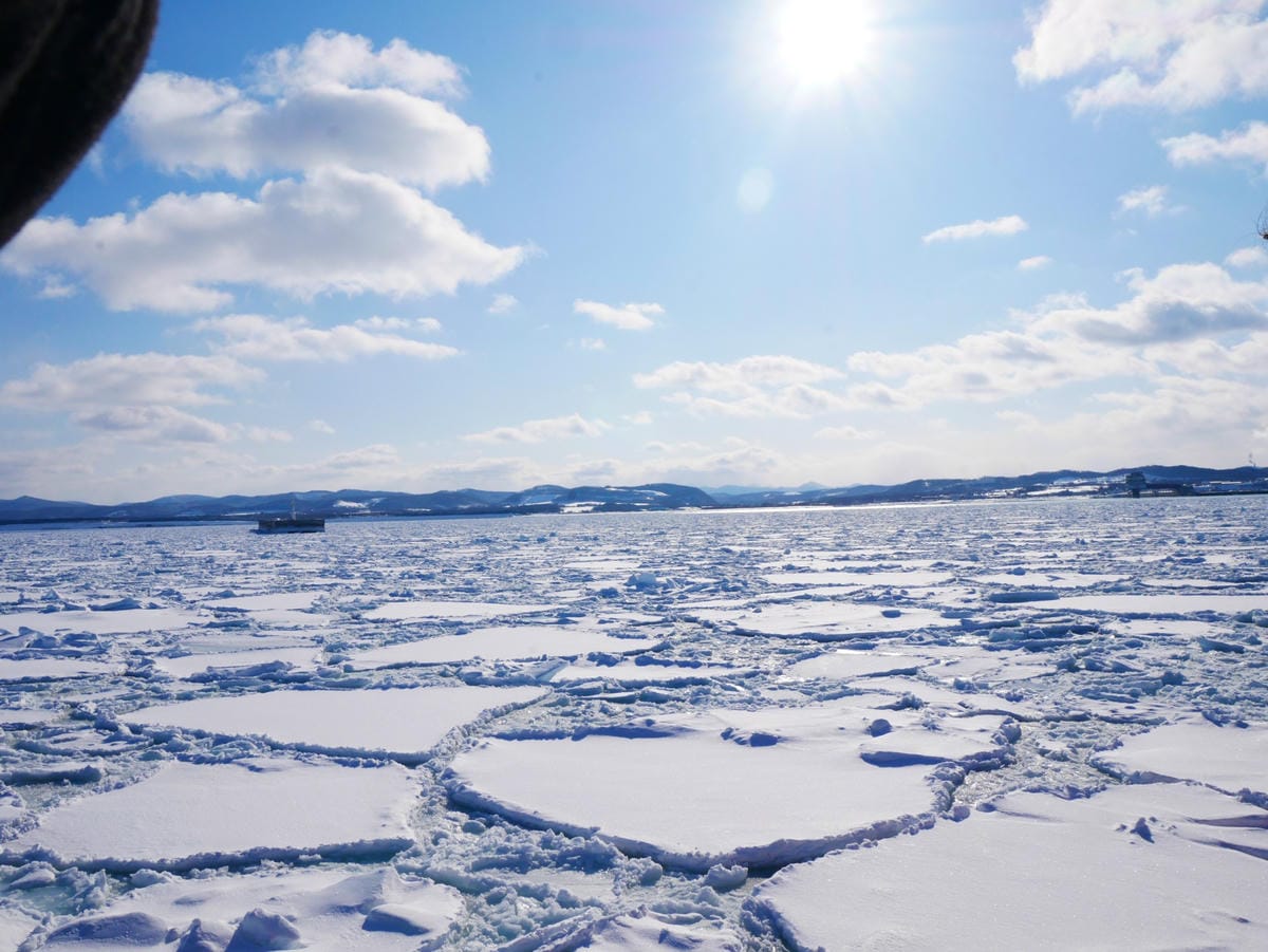 P1530469_副本.jpg P1530469_副本.jpg